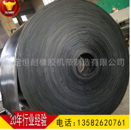 保定恒耐傳送帶優質尼龍輸送帶帆布輸送帶橡膠耐磨耐熱廠家保證