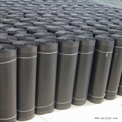 華翔  排水板   hdpe排水板