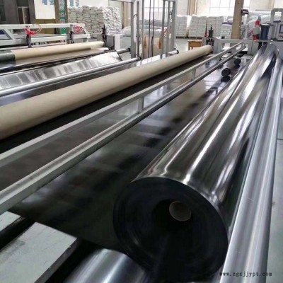 建通生產HDPE土工膜廠家批發 價格優惠
