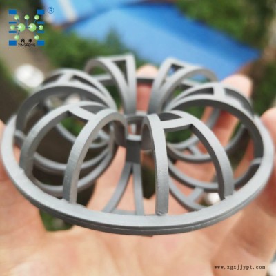 興豐 95mmCPVC氯堿項目專用 泰勒花環塑料氯化聚氯乙烯花環填料