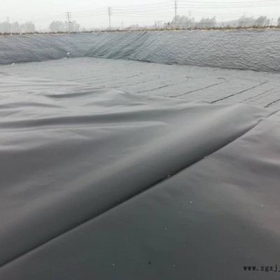 儒風(fēng) 綠色土工膜 土工膜 魚(yú)塘防滲膜HDPE防滲膜