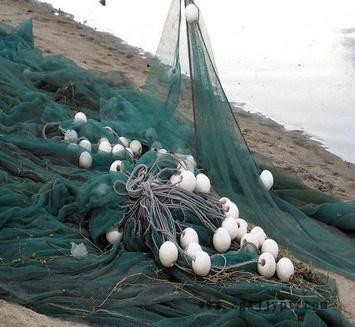 漁網 01