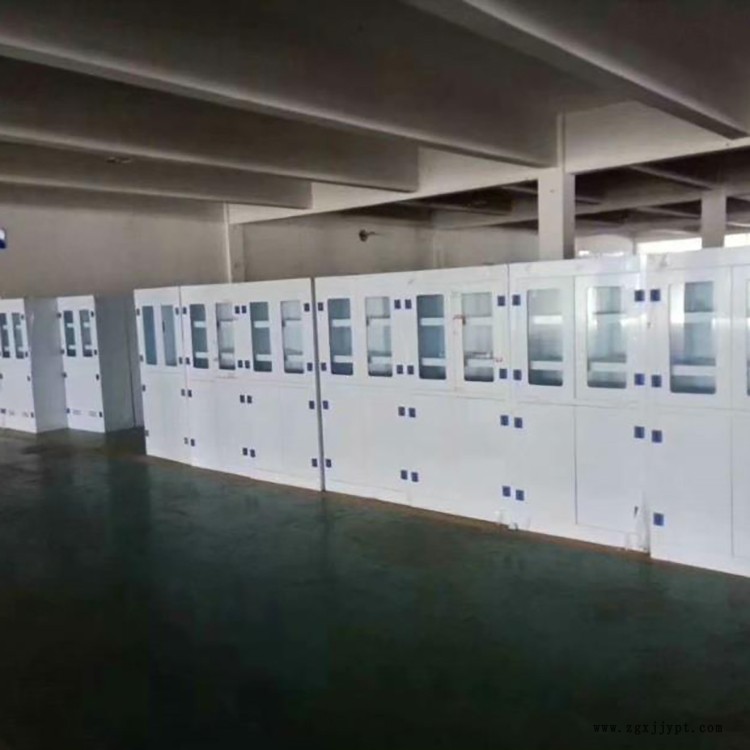 pp通風(fēng)柜批發(fā)廠家 實(shí)驗(yàn)室pp試劑柜 型號(hào)齊全