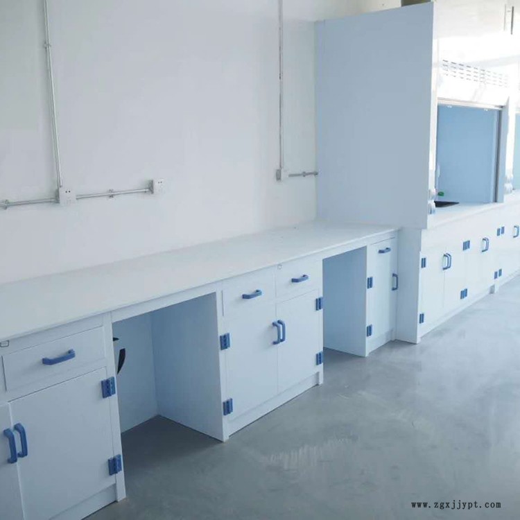 pp實(shí)驗(yàn)臺(tái)報(bào)價(jià) 化學(xué)實(shí)驗(yàn)臺(tái) 質(zhì)量可靠