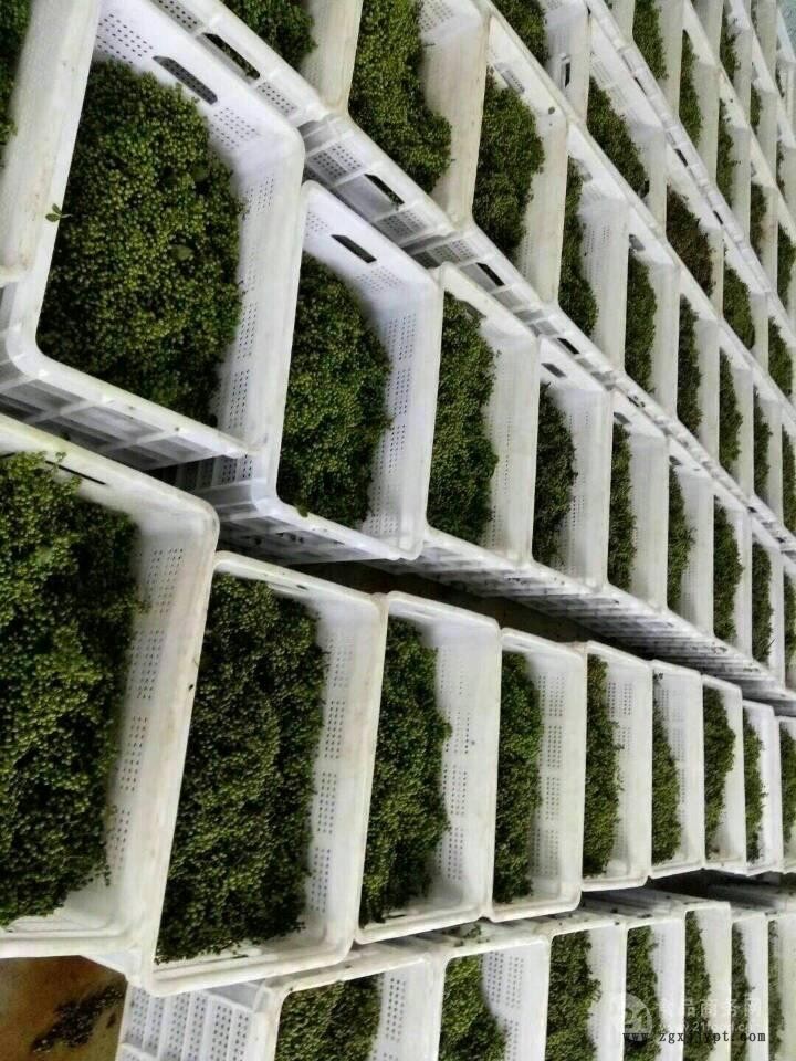 73002748.jpg 花椒筐01.jpg