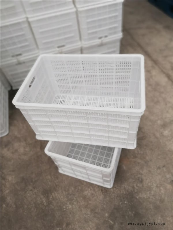 14077525.jpg 8.12 129.jpg