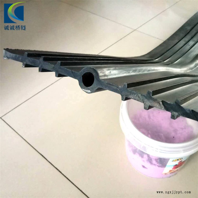 誠(chéng)誠(chéng)廠家直供背貼式橡膠止水帶 金屬止水帶銅止水帶 伸縮縫橡膠止水帶 可注漿式橡膠止水帶安裝圖
