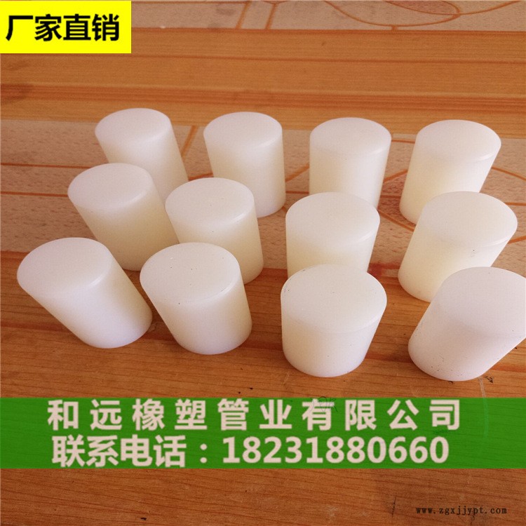 聯(lián)軸器尼龍柱銷 PA66尼龍柱銷小尼龍柱銷@歡迎咨詢示例圖2