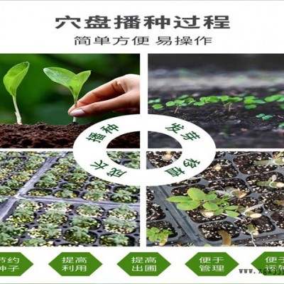辣椒育苗盤-育苗盤-河北元慶(查看)