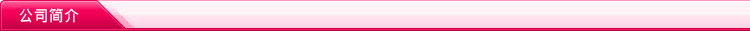 公司簡(jiǎn)介11