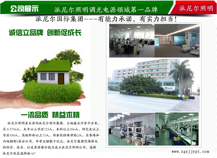 派尼爾集團實力展示調光