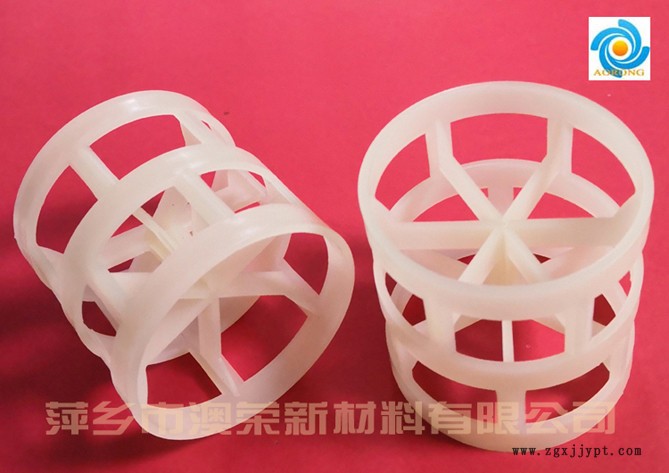 PVDF聚偏氟乙烯鮑爾環 萍鄉澳榮