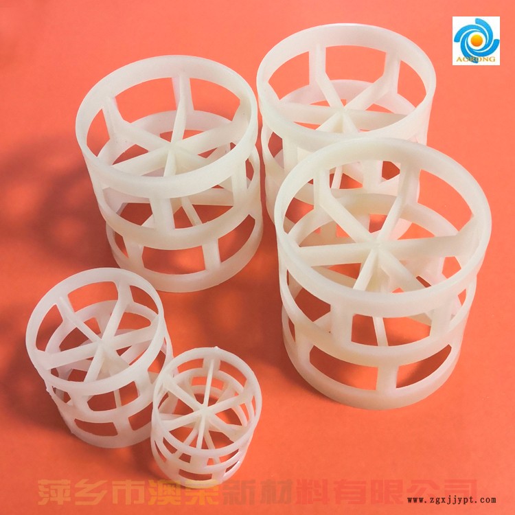 PVDF鮑爾環填料 萍鄉澳榮