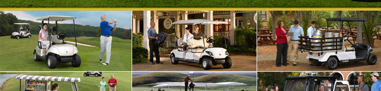 高爾夫車/觀光車/游覽車/巡邏車等各種新能源**驅動車輪胎！