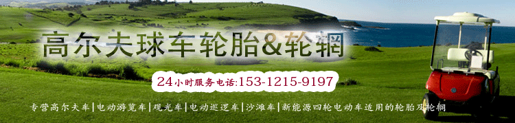 高爾夫車/觀光車/游覽車/巡邏車等各種新能源**驅動車輪胎！