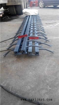 新聞：甘肅白銀MZL伸縮縫現場施工