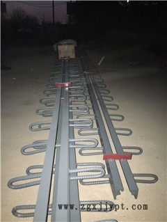 新聞:安徽阜陽橋梁伸縮縫包含運費