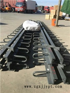 新聞:哈密D80伸縮縫廠家現(xiàn)場施工