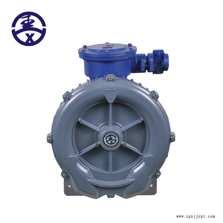 沼氣/天然氣體專用高壓防爆氣泵，防爆漩渦氣泵示例圖6