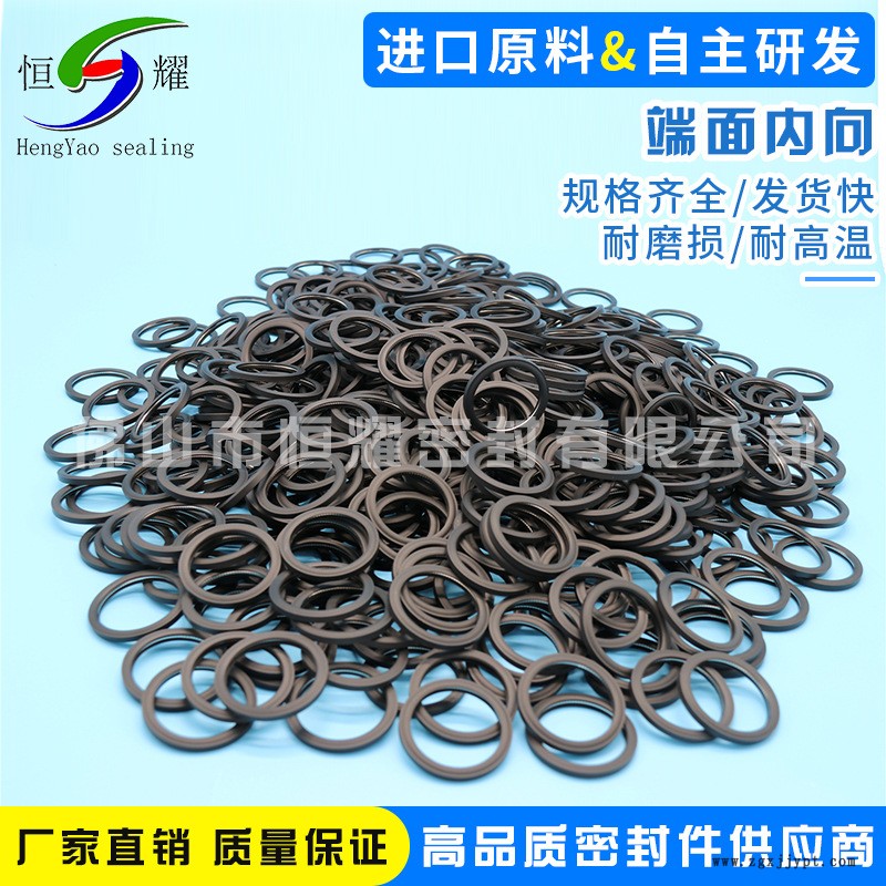 廠家直銷端面內向蓄能泛塞密封圈 端面內向泛塞封 雙面作用泛塞封示例圖4