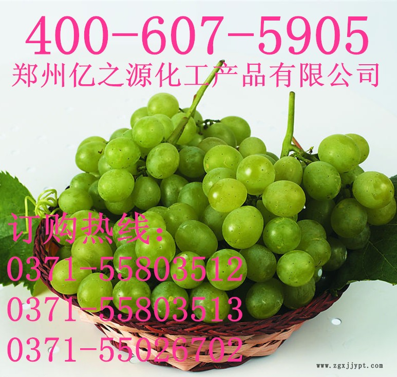 卵磷脂價格 食用抗氧化劑 卵磷脂批發99%含量 商家主營示例圖4