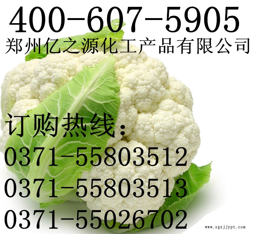 食品級茶多酚價格廠家批發 茶多酚食品級 水溶性抗氧化劑防腐劑示例圖5