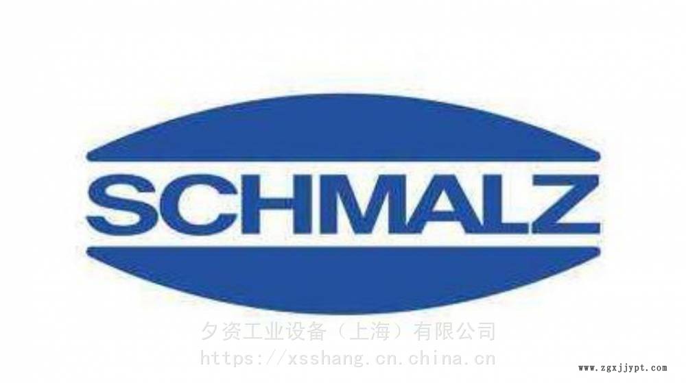 10.01.01.00115 施邁茨SCHAMLZ 10.01.01.00115 吸盤式機械手